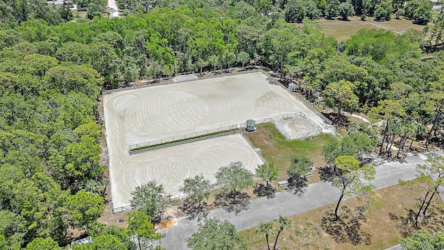 bird's eye view of a forest