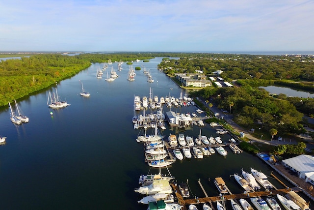 aerial view featuring a water view and a view of trees