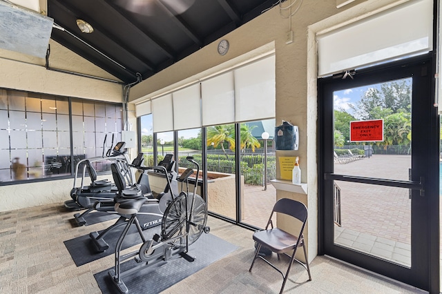 exercise room featuring lofted ceiling and plenty of natural light