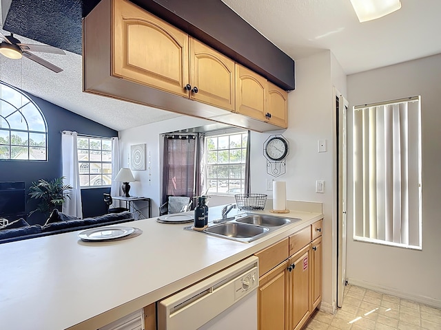 5005 Laguna Bay Cir Unit 26, Kissimmee, FL 34746 - kitchen featuring a sink, light countertops, dishwasher, a wealth of natural light, and a ceiling fan