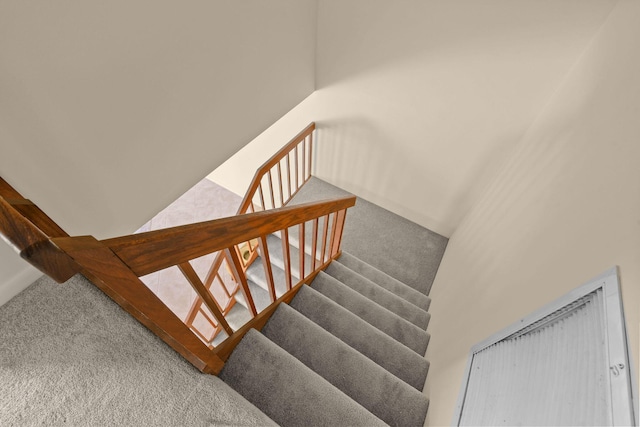 stairway featuring carpet flooring