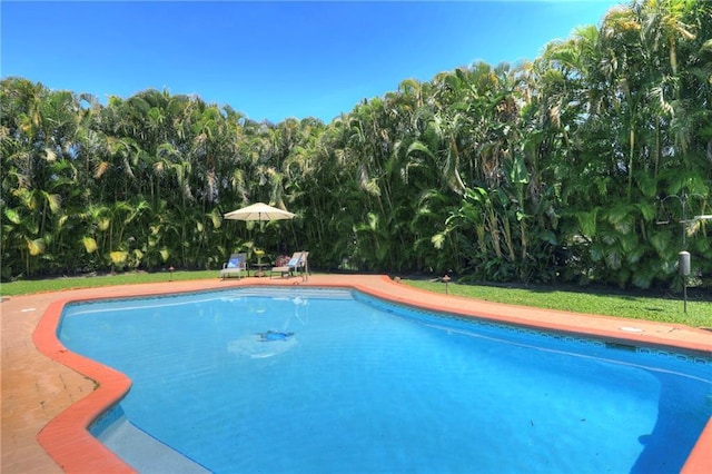 1090 31st Ave, Vero Beach, FL 32960 - view of pool