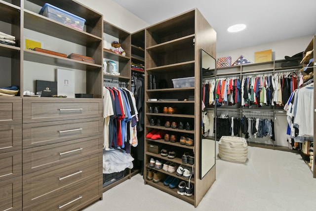 spacious closet with carpet floors