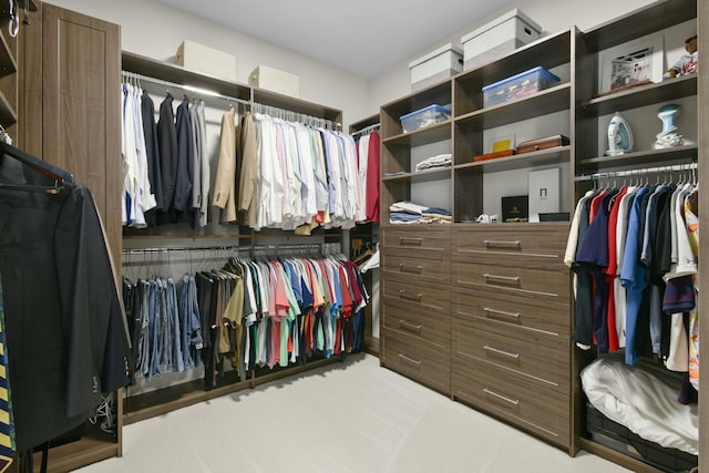 spacious closet with carpet