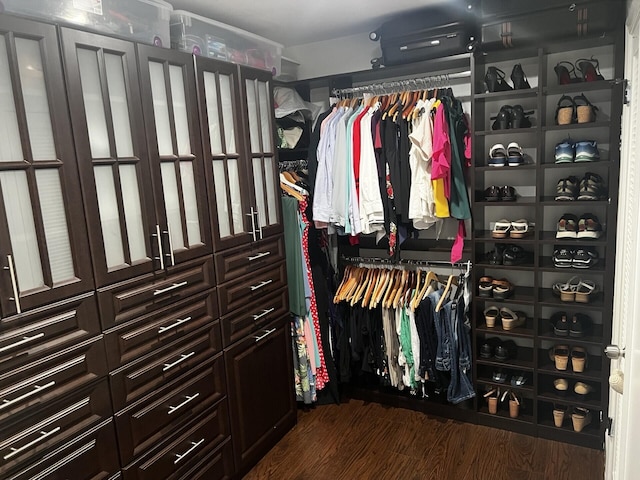 spacious closet featuring dark wood finished floors