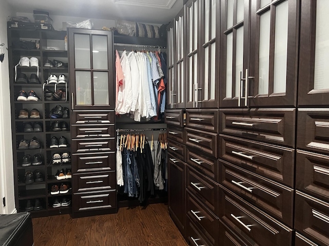 walk in closet with dark wood-style floors