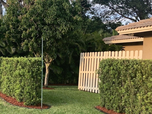 view of green lawn
