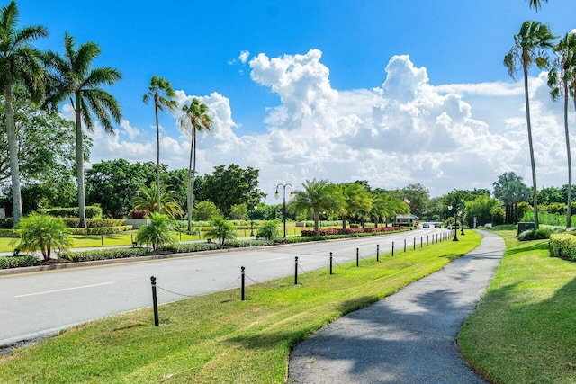 view of street featuring view of scattered trees