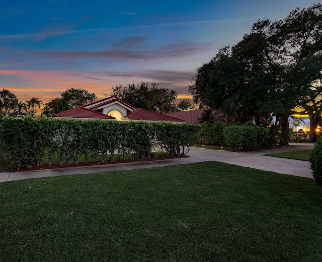 yard at dusk with driveway