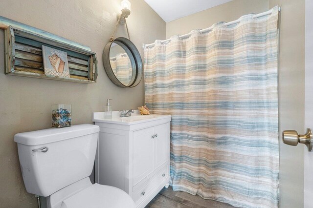 full bath featuring a shower with curtain, toilet, and vanity
