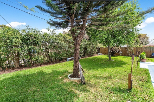 view of yard featuring a fenced backyard