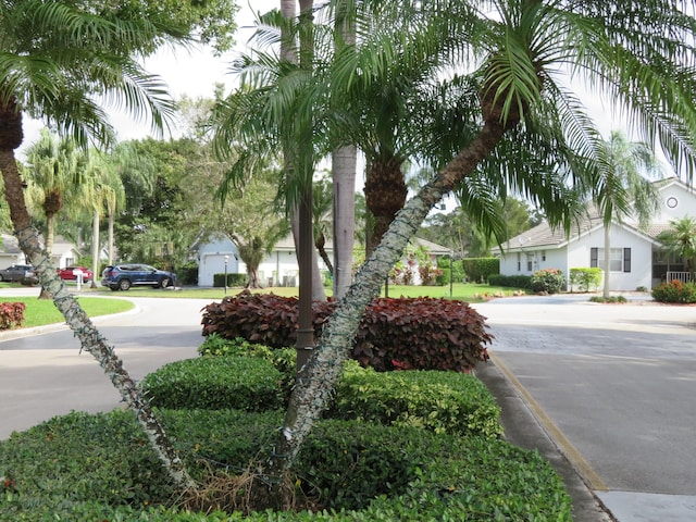 5372 Pine Cir, Coral Springs, FL 33067 - view of asphalt street