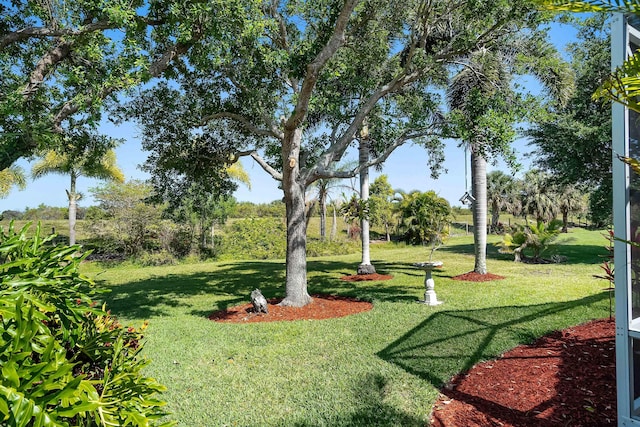 551 NW Red Pine Way, Jensen Beach, FL 34957 - view of grassy yard