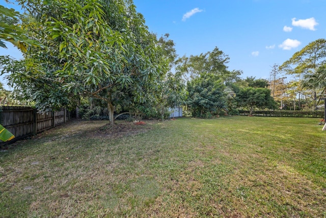 view of yard