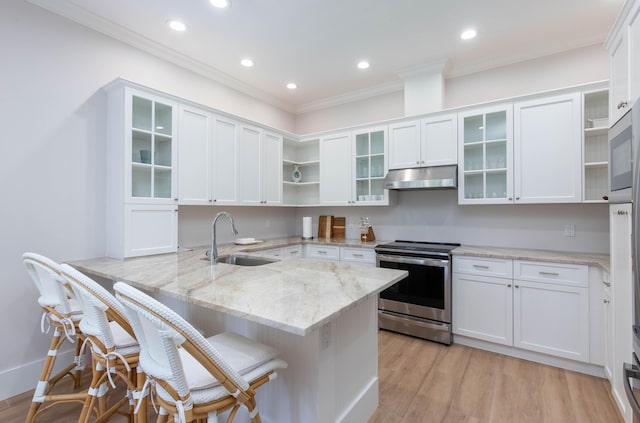 12624 Mallet Cir, Wellington, FL 33414 - kitchen featuring open shelves, electric stove, a sink, a peninsula, and ornamental molding