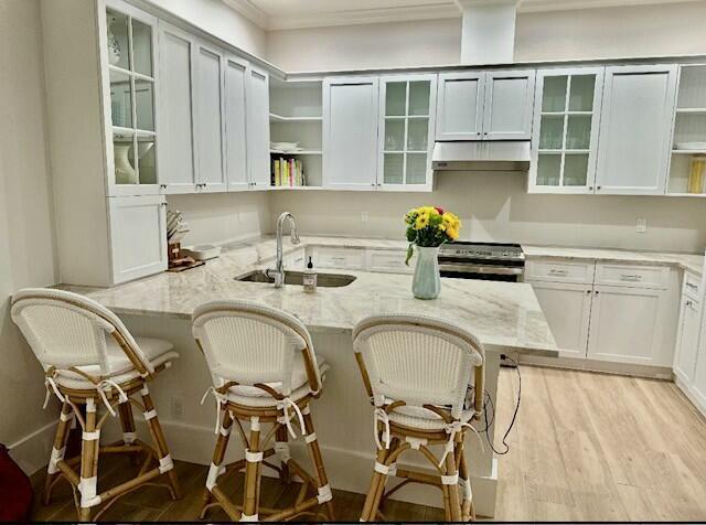 12624 Mallet Cir, Wellington, FL 33414 - kitchen with light wood finished floors, light stone countertops, a sink, open shelves, and stainless steel electric stove