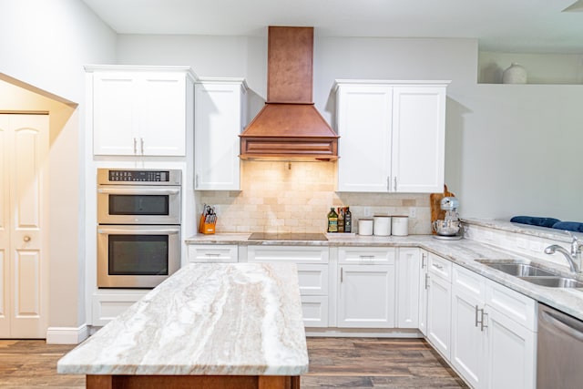 kitchen with custom exhaust hood, tasteful backsplash, stainless steel appliances, a sink, and wood finished floors