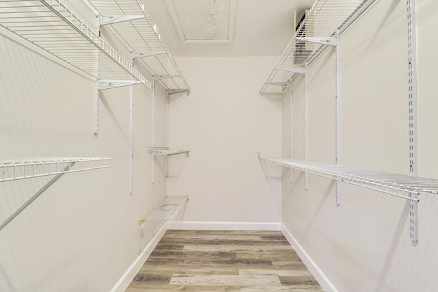 walk in closet featuring wood finished floors