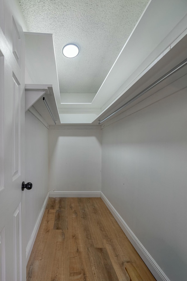 spacious closet featuring wood finished floors