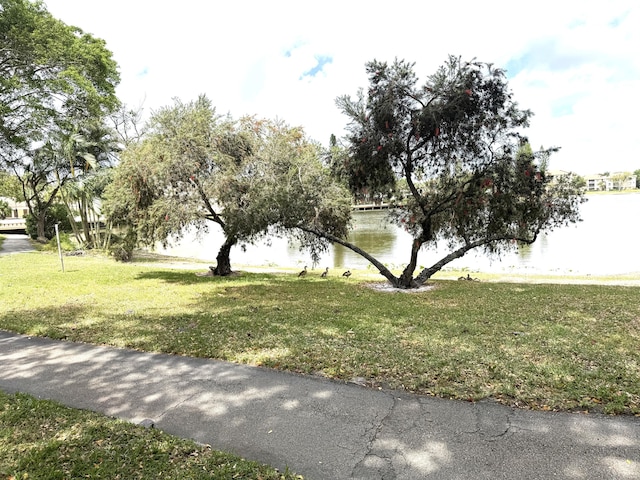 3779 Carambola Cir N Unit 28102, Coconut Creek, FL 33066 - view of property's community featuring a water view and a yard