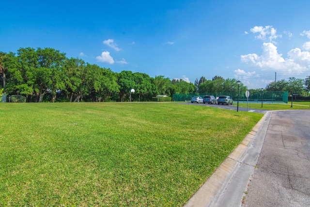 view of green lawn