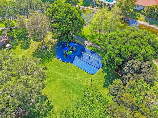bird's eye view