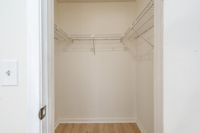 230 NE 26th Ave Unit 1030, Boynton Beach, FL 33435 - spacious closet with light wood-style flooring