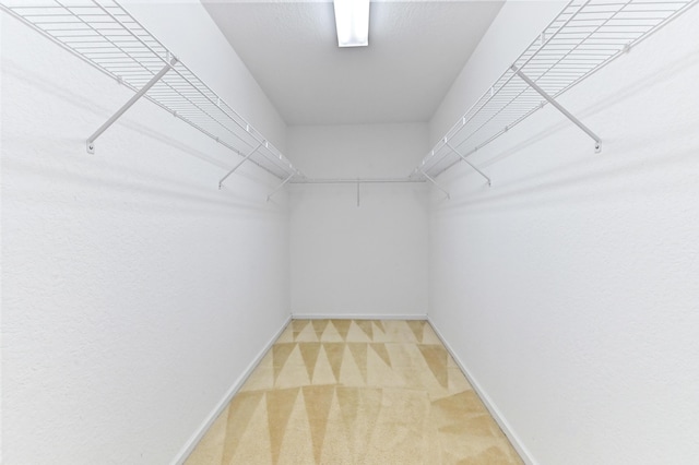 3119 N Evergreen Cir, Boynton Beach, FL 33426 - spacious closet featuring light carpet