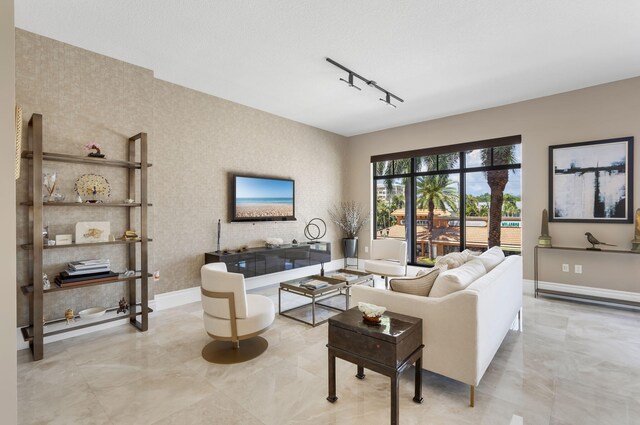 living room featuring baseboards and rail lighting