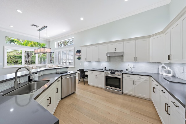 10740 Grande Blvd, West Palm Beach, FL 33412 - kitchen with dark countertops, a sink, stainless steel appliances, and under cabinet range hood