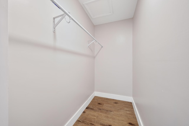 spacious closet with wood finished floors