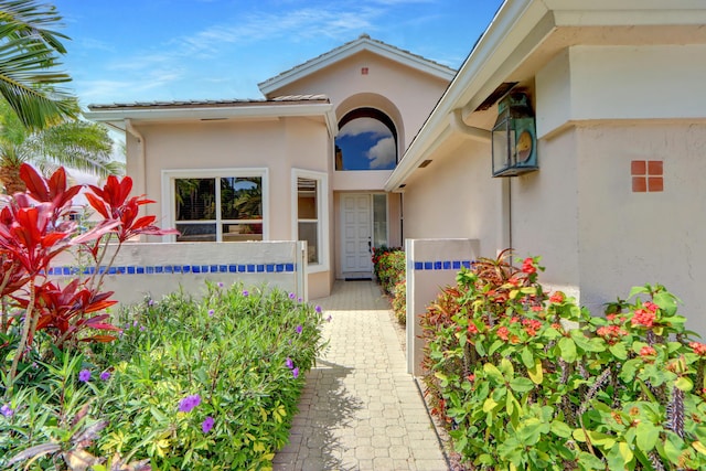 view of exterior entry featuring stucco siding