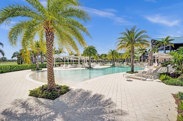 13179 Camero Way, Palm Beach Gardens, FL 33418 - community pool with a patio