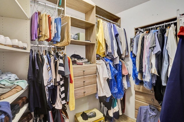 13179 Camero Way, Palm Beach Gardens, FL 33418 - view of spacious closet