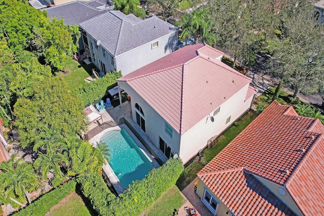 drone / aerial view