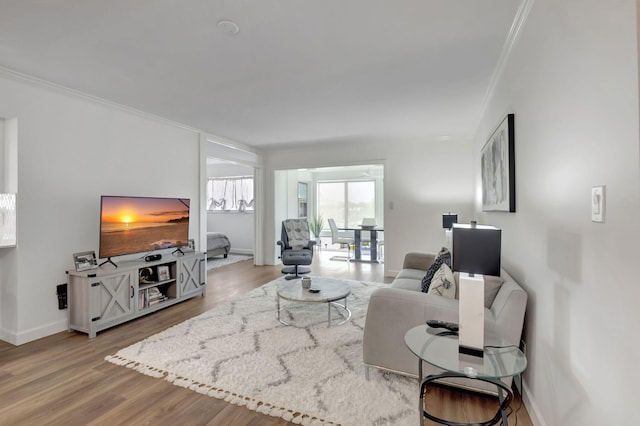 living room featuring wood finished floors, baseboards, and ornamental molding