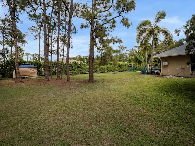 17411 N 40th Run, Loxahatchee, FL 33470 - view of green lawn