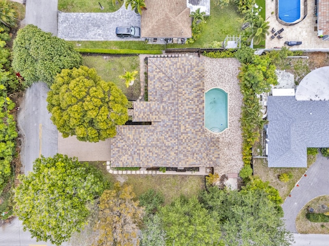 bird's eye view