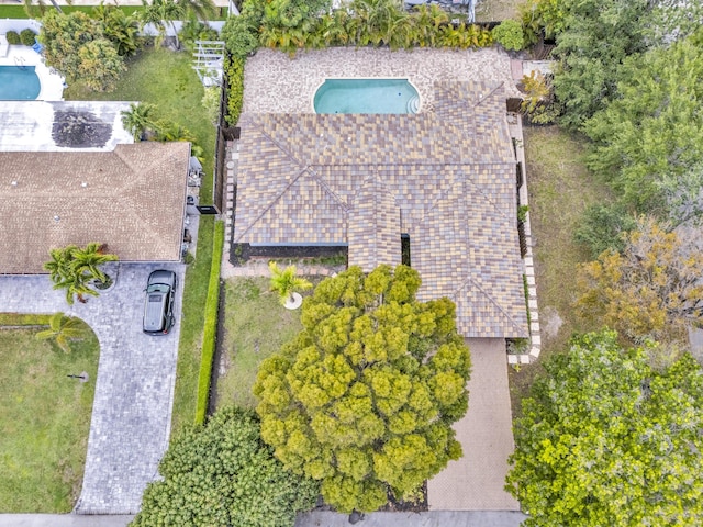 bird's eye view