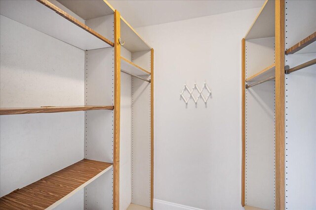 6201 62nd Way, West Palm Beach, FL 33409 - view of walk in closet