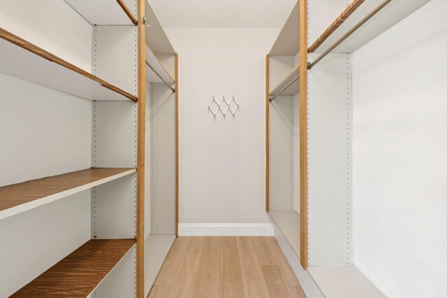 6201 62nd Way, West Palm Beach, FL 33409 - spacious closet with light wood-style floors
