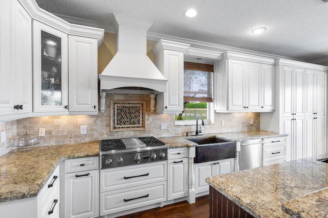 21281 Waycross Dr, Boca Raton, FL 33428 - kitchen featuring custom exhaust hood, appliances with stainless steel finishes, a sink, white cabinets, and decorative backsplash