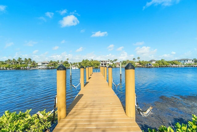 dock area with a water view