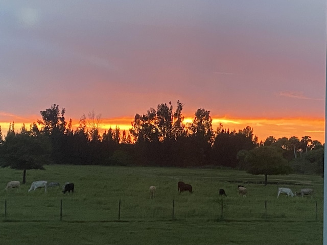1071 S Header Canal Rd, Fort Pierce, FL 34945 - yard at dusk featuring a rural view