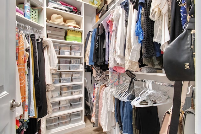 7147 Prudencia Dr, Lake Worth, FL 33463 - spacious closet featuring wood finished floors