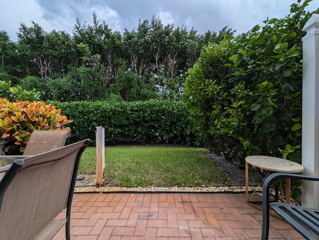 view of yard featuring a patio