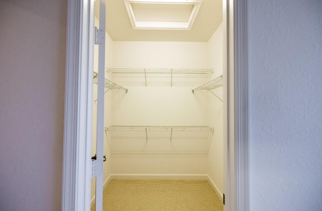 10403 Wellington Parc Dr, Wellington, FL 33449 - spacious closet with attic access and carpet floors