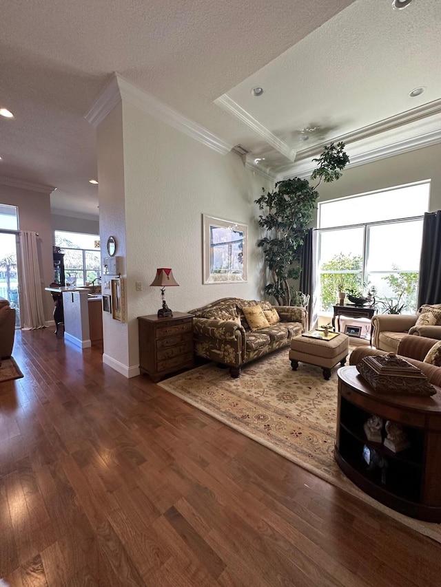 3112 Bollard Rd, West Palm Beach, FL 33411 - living room featuring ornamental molding, a textured ceiling, wood finished floors, recessed lighting, and baseboards