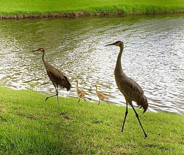 9851 Perfect Dr Unit 151, Port Saint Lucie, FL 34986 - water view