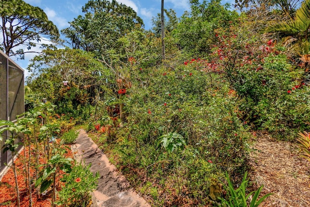 2101 SE Harlow St, Port Saint Lucie, FL 34952 - view of yard
